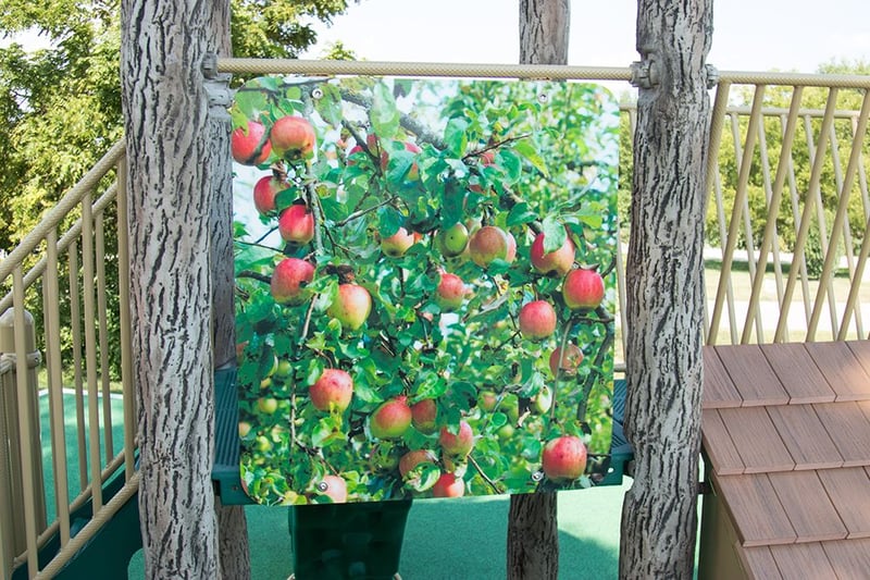 Kimmel Orchard preview 2